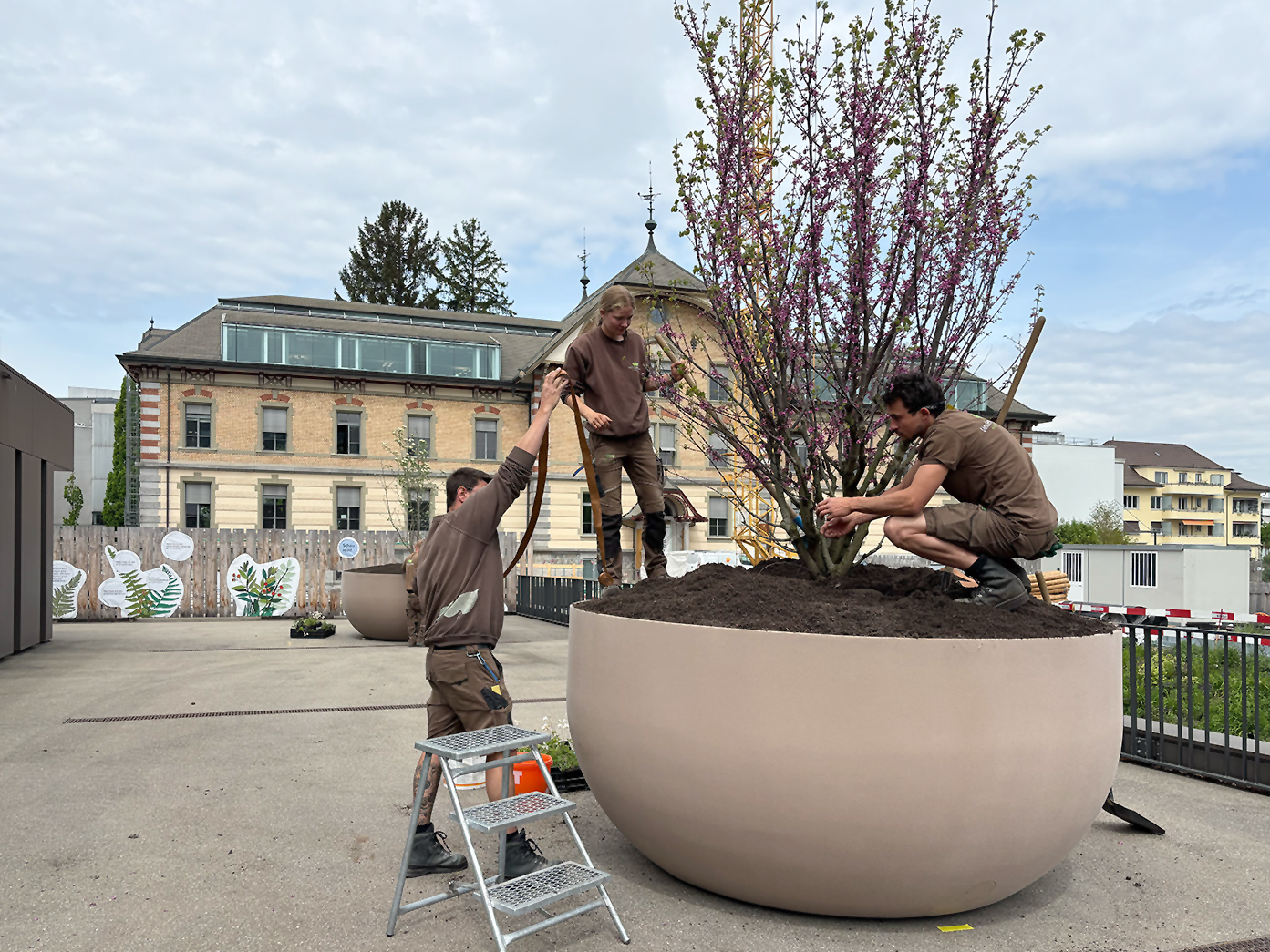 Visualisierung
